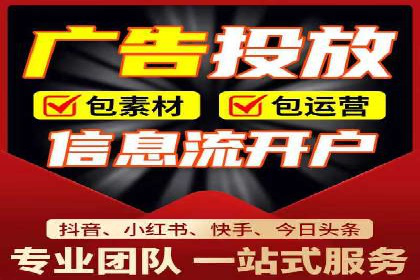 搜索引擎优化（SEO）与竞价广告（SEM）的对比案例